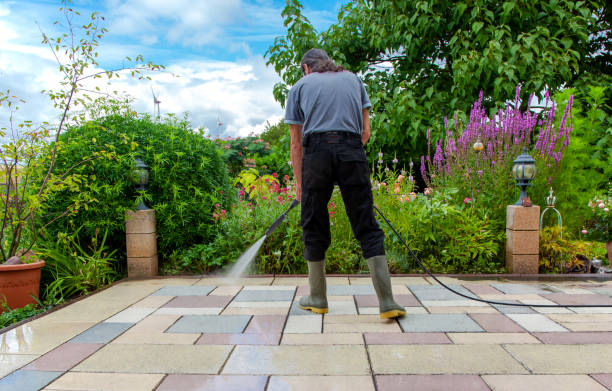 Best Patio and Deck Pressure Washing  in Pioneer, CA
